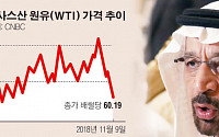 국제 원유시장, 12월 혼란 오나…사우디, 50만 배럴 감산 vs. 러시아 반발