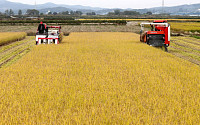 기간·지원 늘려도 '쌀 생산조정제' 신청 저조…목표 대비 10.2%