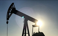 IEA의 경고…“2020년대 중반부터 석유 부족 사태”
