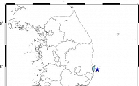 포항 앞바다서 규모 2.2 지진…건물 약하게 흔들리는 진동 감지
