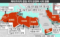 중동 불붙는 재스민혁명...철권통치 붕괴 '도미노'