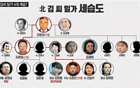 '김정일 의붓母' 김성애 사망…내년 북한 인명록에 반영될 듯