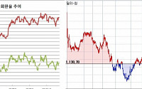 [환율마감] 원·달러 1131.3원 한달만 최고..FOMC 경계vs고점 매물
