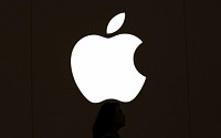 애플, 내년 상반기 5세대 아이패드 미니 출시 가능성