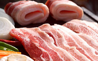 한국 축산시장 흔드는 美風…미국산 돼지고기 수입 사상 최대