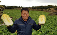 CJ프레시웨이, ‘오렌지 배추’ 계약재배로 농사소득 확대 지원