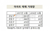 거래 절벽 현실화…? ‘강남4구’ 12월 아파트 거래량 93건…작년보다 ‘96%↓’