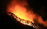 양양 산불, 이틀째 이어져 194명 긴급 대피…소방당국, 오전 진화 작업 재개
