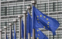 '한·EU FTA 이행위' 개최…자동차·의약품 업계 애로 해소 방안 논의