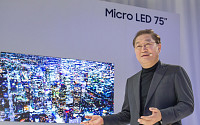 [CES 2019] 한종희 삼성전자 사장 “올해 ‘마이크로 LED’ 사업 원년”