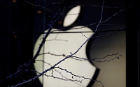 애플, 中·印 스마트폰 시장 부진...“고가정책이 걸림돌”