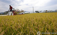 쌀·밭·조건불리 직불금, 올해 1조497억원 지급