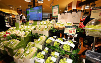 잘 팔리는 한국 과일…지난해 신선 농산물 수출 사상 최대