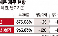 ‘부채비율 963%’ 흥아해운, ‘장금상선’ 통합 주총 앞두고 유동성 확보 올인