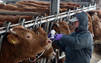 농식품부 '겨울철 가축 전염병' 대비 전국 방역 공무원 순회 교육