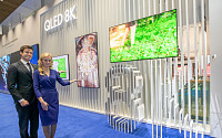 신종 코로나에도 유럽 최대 디스플레이 전시회 열려… 삼성-LG &quot;위생 만전&quot;