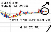 [증권정보] 6만원 적정가 불구 현 5000원대 대박주 탄생!