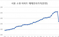 “믿었던 서울 소형 너마저”···서울 소형 아파트 3년1개월만에 첫 하락
