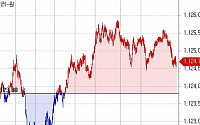[환율마감] 원·달러 찔끔 상승, 이벤트 대기