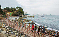 알싸한 겨울 바다를 벗삼아 걷는 길 ‘외옹치 바다향기로’