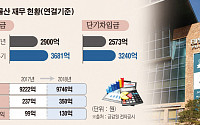 ‘주주제안 거절’ 태평양물산, 실적 자신감 속 단기 차입금 부담 여전