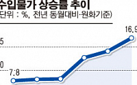 수입물가 전년比 16.9%↑…2년만에 최고치