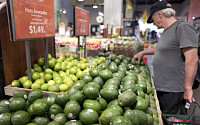 아마존, 새 식료품 오프라인 매장 사업 착수…연말 LA에 1호점