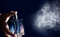 스타일의 완성,  향수를 입다
