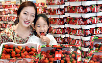 [포토] 홈플러스 &quot;국내산 딸기 대용량 박스에 담아 9990원&quot;