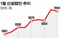 올 1월 신설법인 9944개로 역대 두번째 많아...청년층 창업도 4년연속 증가