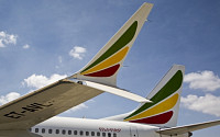 에티오피아항공, 보잉기와 함께 추락한 아프리카 자존심