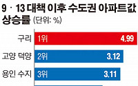 구리시 뜻밖의 1승…9·13 이후 수도권 아파트값 상승 1위