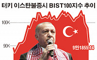 에르도안, 강압 개입 역풍...터키 금융시장 다시 요동
