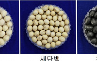 농진청, 국산 콩으로 전두유 개발…시판 두유보다 식이섬유ㆍ칼슘↑