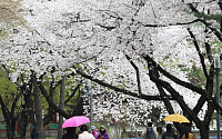 [일기예보] 오늘 날씨, 전국이 대체로 맑고 경상도 일부 비…'서울 낮 16도' &quot;미세먼지 나쁨&quot;