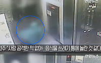 올드잉글리쉬쉽독 물림 사고 CCTV, 엘리베이터 열리자 갑자기 덮쳐…쓰러진 남성은 '신음'