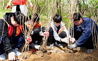 SK건설, 서울숲 나무 심기 봉사…“미세먼지 해소에 일조”