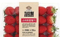 “5월에도 싱싱한 딸기 맛보세요”…이마트, ‘스마트팜 딸기’ 30% 할인