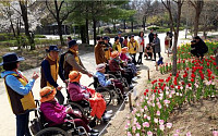 어르신들이 즐겨 찾는 서울숲 봉사 현장