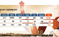 빛나는 김동관의 태양광…한화케미칼 흑자전환 ‘견인’