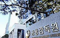 금감원, 예탁원·증권사 9곳 '해외주식 거래 시스템 미비' 제재