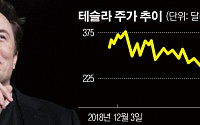 ‘월가의 연인’에서 동네북으로...비운의 테슬라