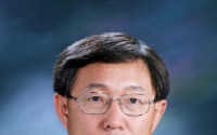 현대기아차 양웅철 부회장 승진 발령