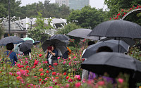 [일기예보] 오늘 날씨, 전국 흐리고 곳곳에 비 '예상 강수량 최고 200mm 이상'…'서울 낮 19도' &quot;미세먼지 보통&quot;