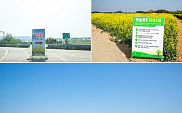 인천공항 유채꽃밭에서 인생사진 찍기