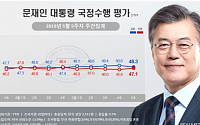 文대통령 지지율 정쟁으로 소폭 하락한 48.3%