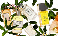 [럭셔리트렌드]지중해산 오렌지 향수로 봄 분위기 물씬