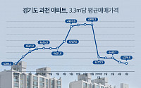‘준강남’ 과천 아파트값 6개월 사이 12%↓…급등한 공시가 영향