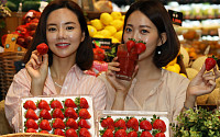 [포토] PK마켓ㆍSSG마켓 “1년 내내 달고 아삭한 딸기 맛보세요”