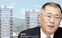 정의선, 여름 인사 키워드 '해외 권역 책임경영'